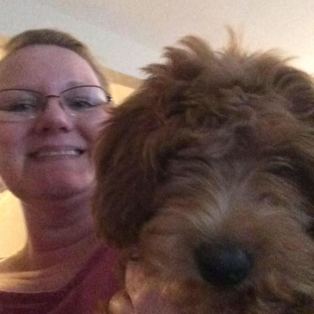 Meet your Posher, Dina